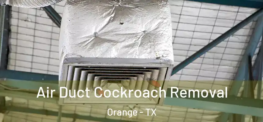  Air Duct Cockroach Removal Orange - TX