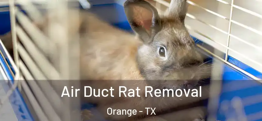  Air Duct Rat Removal Orange - TX