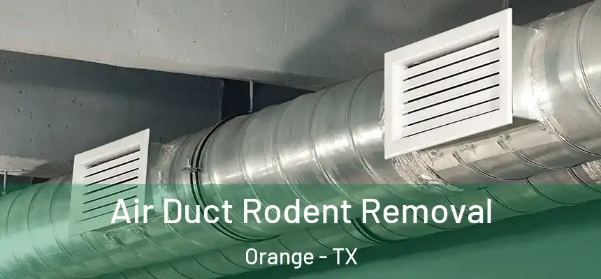 Air Duct Rodent Removal Orange - TX
