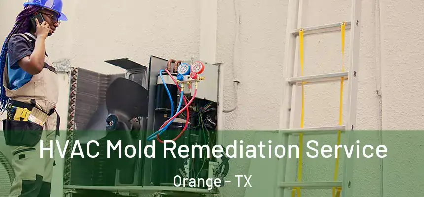  HVAC Mold Remediation Service Orange - TX