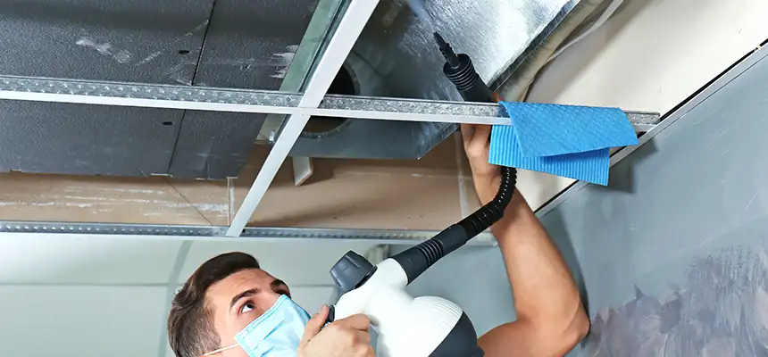 Our Air Duct Rodent Removal Services in Orange, TX