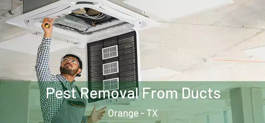  Pest Removal From Ducts Orange - TX