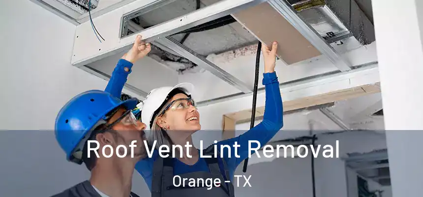  Roof Vent Lint Removal Orange - TX