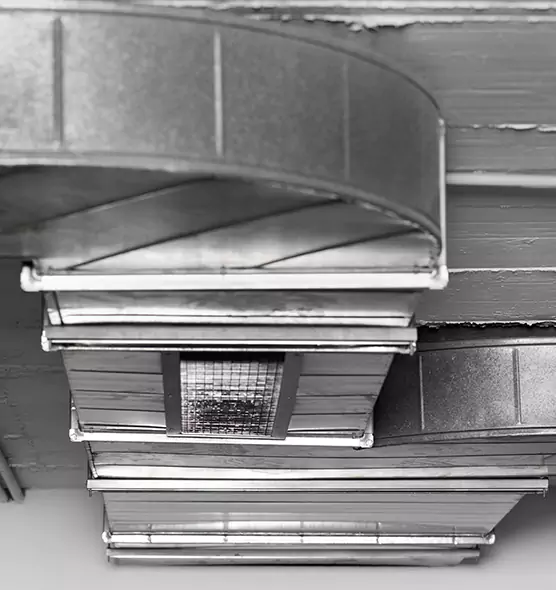 Professional Air Duct Pet Hair Removal in Orange, TX