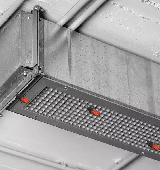 Affordable Insect Removal from Air Ducts in Orange, TX