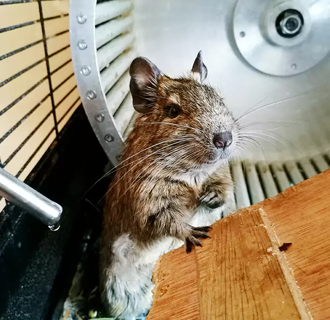 Why Homeowners & Businesses Trust Us Orange, TX