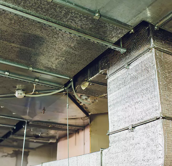 Why Homeowners & Businesses Trust Us in Orange, TX?